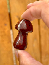 Load image into Gallery viewer, Reserved for Cheryl c Red Jasper Mushie Mini