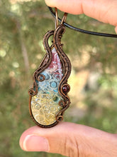 Load image into Gallery viewer, Rainbow Fossilized Palm Root with garnet gem accent wire wrapped pendant necklace