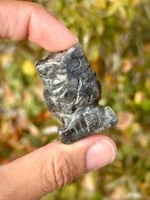 Load image into Gallery viewer, Larvikite owl carving
