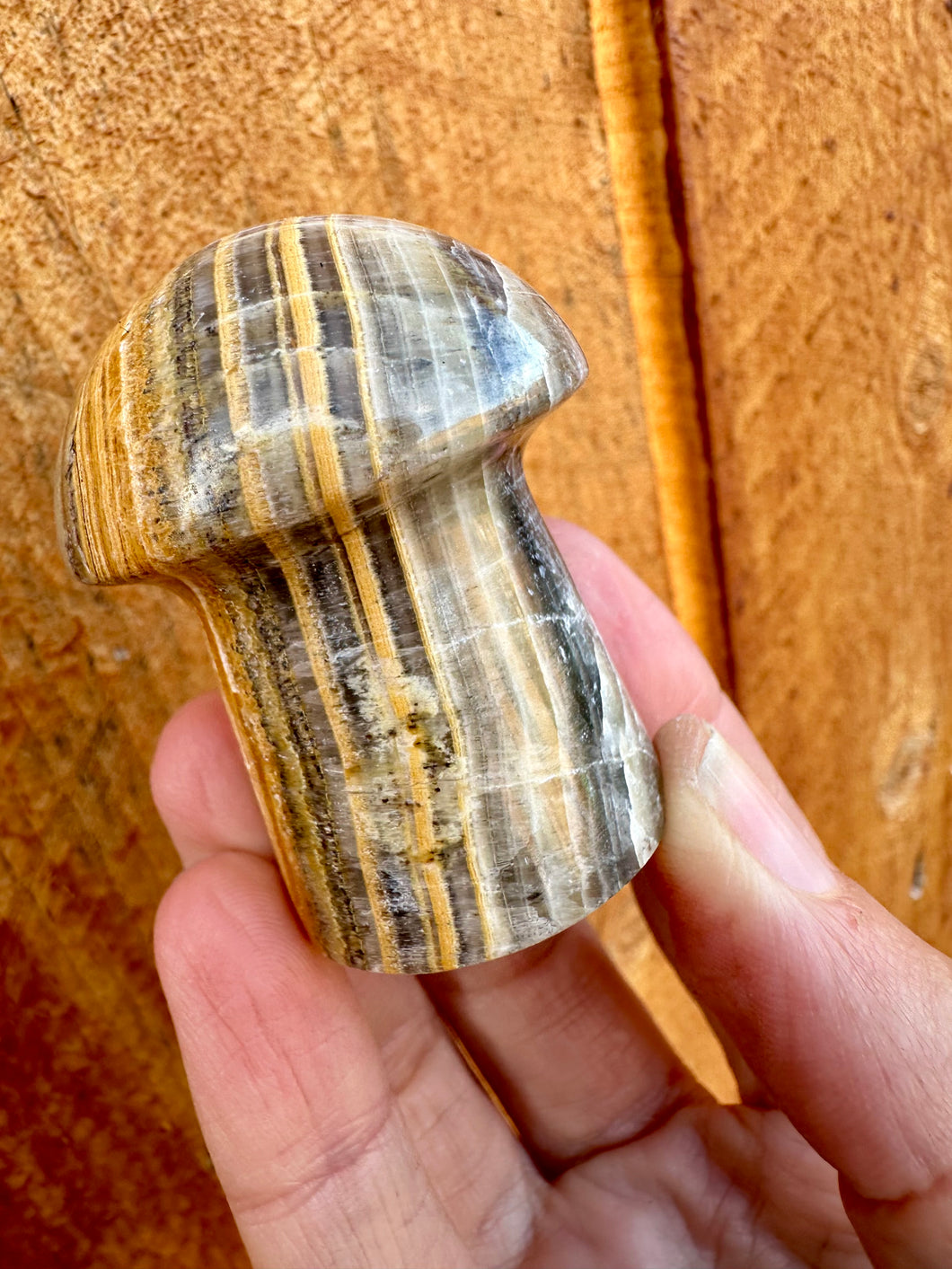 Reserved for Claudia p Zebra Calcite Mushie 3.5”