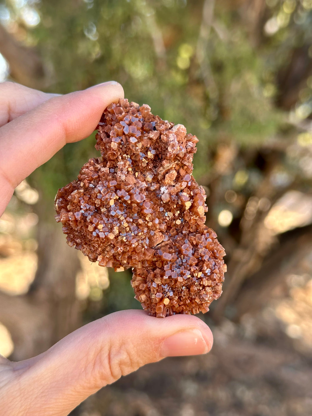 Aragonite cluster