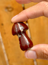 Load image into Gallery viewer, Reserved for Cheryl c Red Jasper Mushie Mini
