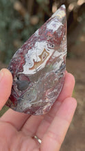 Load and play video in Gallery viewer, Reserved for sherry Mexican crazy Lace Agate Freeform
