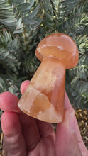 Load and play video in Gallery viewer, Reserved for Anne k Honey Calcite Mushie 3.5”
