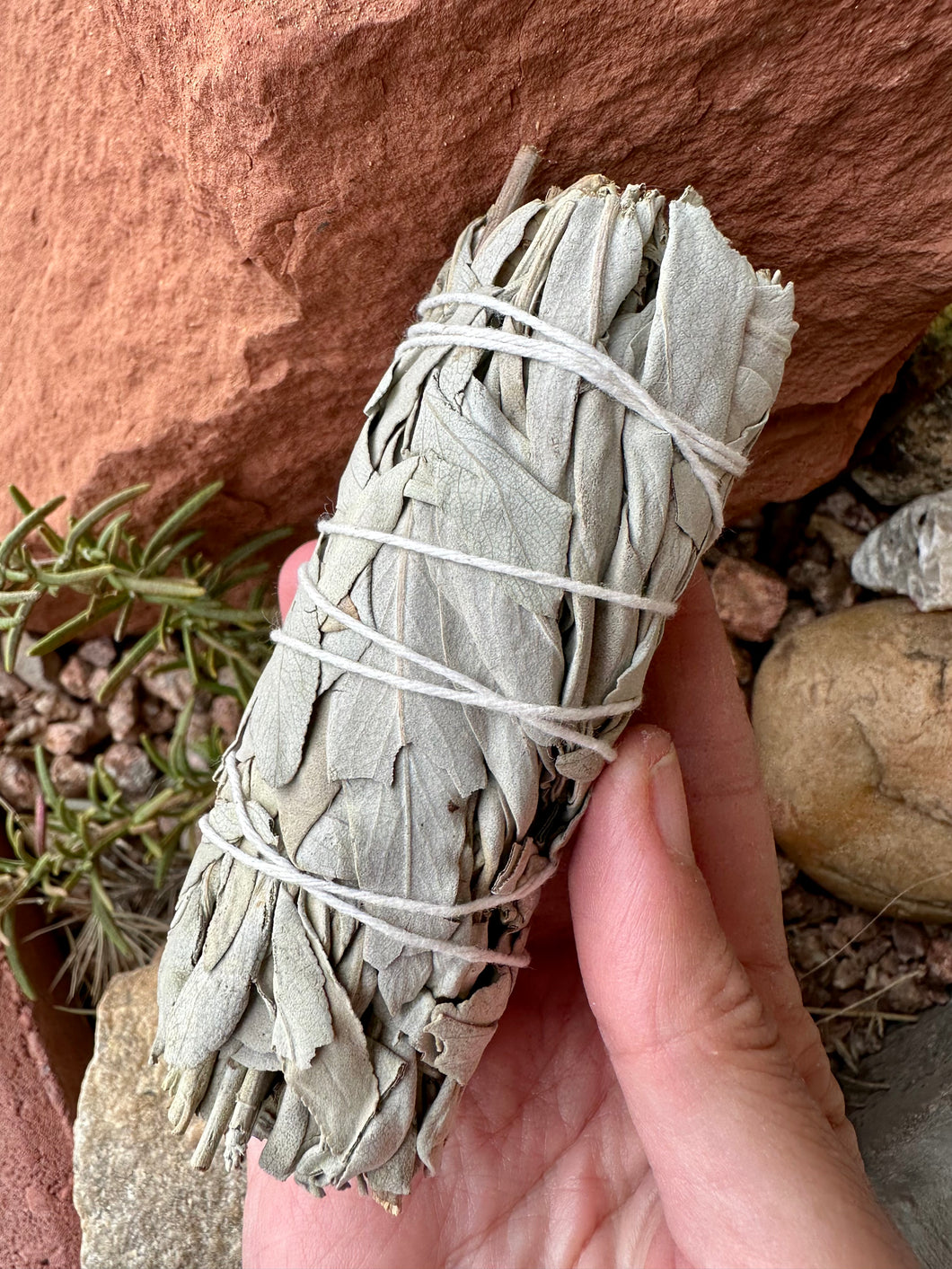 White Sage Bundles