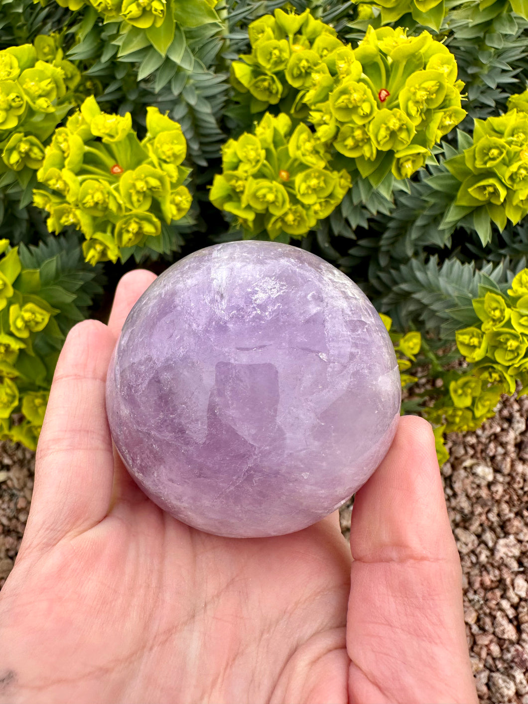 Order for Kimberly p Amethyst Sphere 50mm